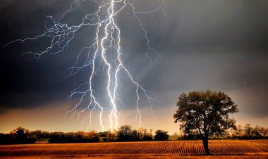 BIG NEWS : अब टलेगा आकाशीय बिजली का खतरा, गिरने का पहले ही लग जाएगा पता, ये एप्प 30 मिनट पहले कर देगी अलर्ट, किसान और आमजन अभी करें डाउनलोड, इस लिंक पर करें क्लिक, पढ़े खबर