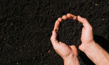 NEWS : जल स्‍त्रोतों का संरक्षण, अगर आपकों भी है काली मिट्टी की जरुरत, तो तुरंत पहुंचे यहां, और भरले ट्रॉली, वो भी निःशुल्क, पढ़े खबर