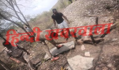 BIG NEWS : कुएं में दिखी लाश, तो गांव में मचा हड़कम, फिर पुलिस तक पहुंची सुचना, अब जांच शुरू, घटना सिंगोली थाना क्षेत्र की, पढ़े आजाद नीलगर की खबर