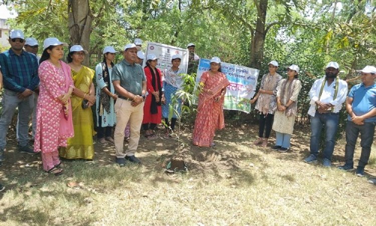 NEWS : विश्व पर्यावरण दिवस, चालों भविष्य सुरक्षित बनाएं, जरा एक-एक वृक्ष तो लगाएं, भूमि पुनर्स्थापना थीम, जाजू कन्या महाविद्यालय में किया पौधरोपण, दिया ये संदेश, पढ़े खबर