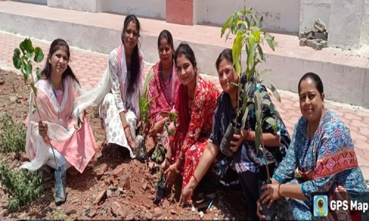 NEWS : विश्व पर्यावरण दिवस, शासकीय महाविद्यालय जीरन में किया पौधरोपण, पर्यावरण के बिना जीना संभव नहीं, ये संदेश भी दिया, पढ़े खबर