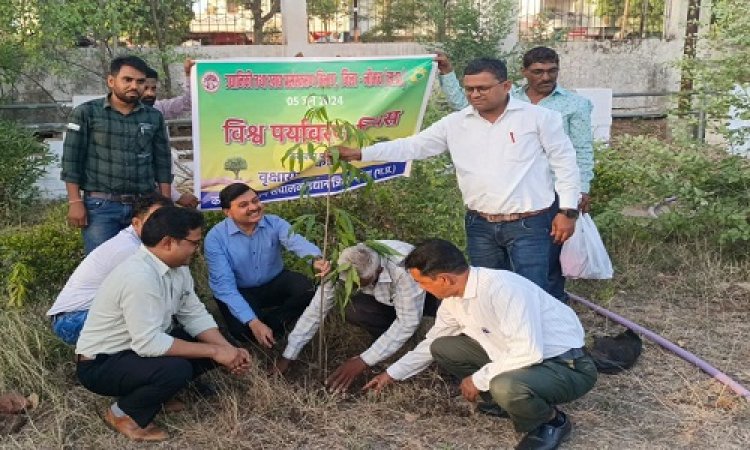 NEWS : विश्व पर्यावरण दिवस, जिला कलेक्टर जैन ने अधिकारियों के साथ किया पौधारोपण, कलेक्ट्रेट एवं जिला पंचायत परिसर में पौधे लगाकर दिया ये संदेश, पढ़े खबर