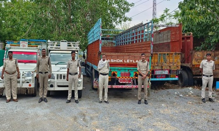 BIG NEWS : गौवंश तस्करी में किया जिसका उपयोग, अब वहीं वाहन होंगे राजसात, फिर होगी नीलामी, कंटेनर, ट्रक और पिकअप शामिल, तो इस बड़े काम में भी लगी नीमच पुलिस की स्पेशल टीम, पढ़े खबर