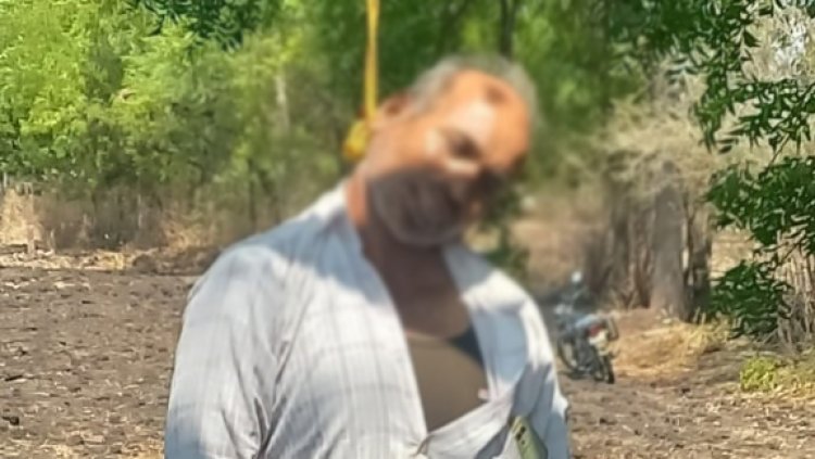 BIG BREAKING : हरसोला गांव में कैलाशचंद्र ने किया सुसाइड, खेत में पेड़ पर लटका मिला शव, नारायणगढ़ पुलिस जांच में जुटी, पढ़े नरेंद्र राठौर की खबर