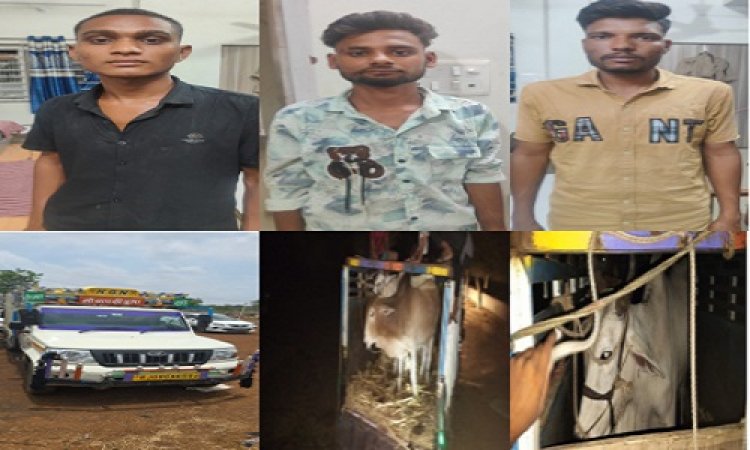 BIG NEWS : गौवंश तस्करी और परिवहन पर अंकुश, नीमच जिला पुलिस की प्रभावी कार्यवाहियां, कई थानों और चौकी पुलिस को मिली सफलता, कुल आठ आरोपी गिरफ्तार, तो ये चार वाहन राजसात, पढ़े खबर