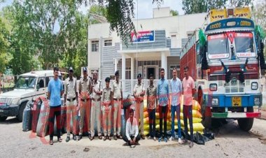 BIG NEWS : रतनगढ़ पुलिस की बड़ी कार्यवाही, ट्रक से मादक पदार्थ की बड़ी खैप जप्त, एक तस्कर भी गिरफ्तार, पढ़े खबर