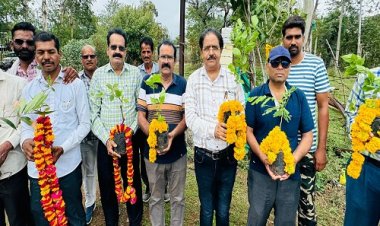 NEWS : मनासा विद्युत केंद्र पर मनाया स्थापना दिवस, इनके जन्मदिन पर किया पौधारोपण, पढ़े मनीष जोलान्या की खबर