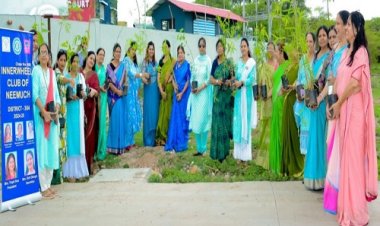 NEWS : इनरव्हील क्लब के सामाजिक सरोकार, गायों को खिलाया चारा, पौधारोपण भी किया, इनका रहा आर्थिक सहयोग, पढ़े खबर