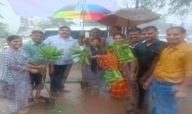 NEWS : NSSG ग्रीन बेल्ट की तीसरी वर्षगांठ, फेस 3 का शुभारंभ, झमाझम बारिश में ग्रीन बेल्ट में रौपे पौधे, क्या बोले अतिथि, पढ़े ये खबर