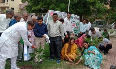 BIG NEWS : एक पेड़ मां के नाम अभियान, विधायक व नपाध्‍यक्ष ने ग्रीनबेल्‍ट व अमृत गार्डन में किया पौधारोपण, जिला कलेक्‍टर के मार्गदर्शन में रौपे 10 हजार से अधिक पौधे, पढ़े खबर