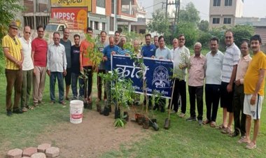 BIG NEWS : एक पेड़ मां के नाम अभियान, संस्‍था कृति भी बनी सहभागी, नीमच की इस कॉलोनी में किया पौधारोपण, सुरक्षा की दिशा में किएं प्रयास, पढ़े खबर