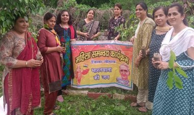 NEWS : एक पेड़ मां के नाम अभियान, महिला समन्वय शाखा ने किया पौधारोपण, जिला संयोजिका लक्ष्मी प्रेमाणी ने कहां- वन मानव स्वास्थ्य के लिए बेहद जरुरी, पढ़े खबर