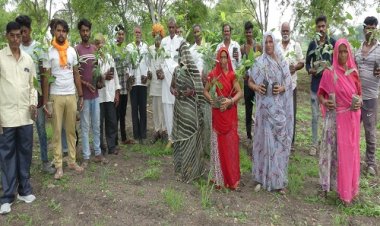 NEWS : एक पौधा मां के नाम अभियान, बंजर भूमि को ग्रामीणों ने किया हरा-भरा, अब ये लक्ष्य भी तय, कुछ यूं बैठाया 700 का आंकड़ा, पढ़े नरेंद्र राठौर की खबर