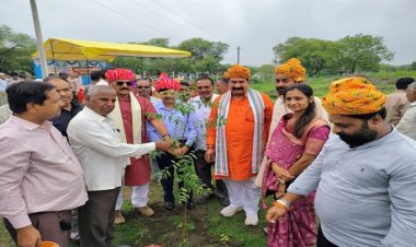 WOW ! एक पेड़ मां के नाम अभियान, आज का दिन, और नीमच जिले ने तोड़ा रिकॉर्ड, ग्राम पंचायतों में रौपे 50 हजार से ज्यादा पौधे, अंकुर उपवनों में हुआ विशेष कार्यक्रम, पढ़े खबर