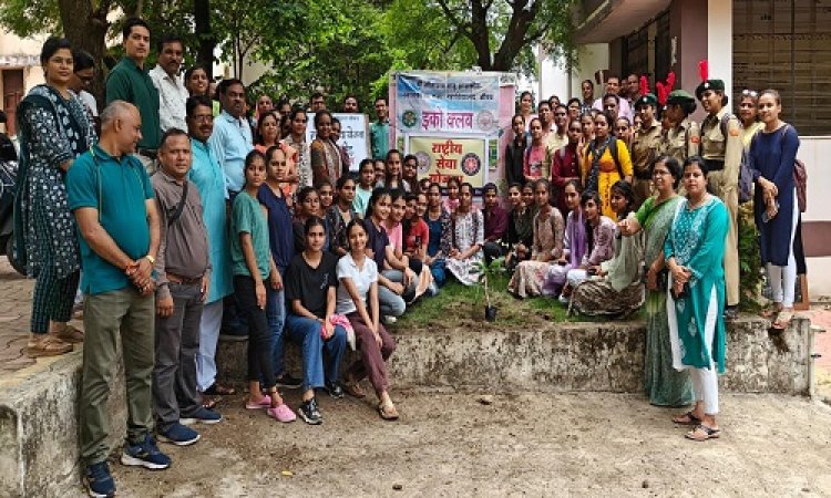 NEWS : श्वेत हरित नीमच अभियान, जाजू कन्या महाविद्यालय में रौपे चंपा के पौधे, यहां खिले सफेद सुंदर एवं खुशबूदार फूलों के पौधे, पढ़े खबर