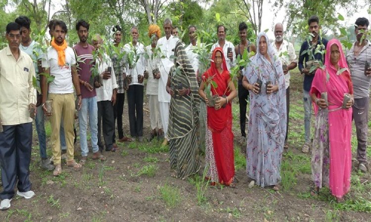 NEWS : एक पौधा मां के नाम अभियान, बंजर भूमि को ग्रामीणों ने किया हरा-भरा, अब ये लक्ष्य भी तय, कुछ यूं बैठाया 700 का आंकड़ा, पढ़े नरेंद्र राठौर की खबर