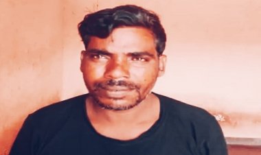 NEWS : बदमाशों ने चुराई ये बेशकीमती लकड़ी, फिर निम्बाहेड़ा पुलिस की कार्यवाही, एक आरोपी तो गिरफ्तार, अब इनकी तलाश, पढ़े खबर