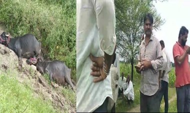 BIG BREAING : रक्षाबंधन पर उगरान गांव में मौत का तांडव, करंट की चपेट में आने से दो की मौत, खेत के रास्ते पर हुआ हादसा, जांच शुरू,  घटना जीरन थाना क्षेत्र की, पढ़े राजेश प्रपन्न की खबर