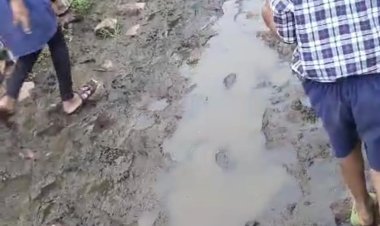 NEWS : रास्ते की जगह कीचड़, और ग्रामीण यहीं से गुजरने को मजबूर, विकास के इंतजार में रहवासी, मामला ग्राम पंचायत आमद का, पढ़े खबर
