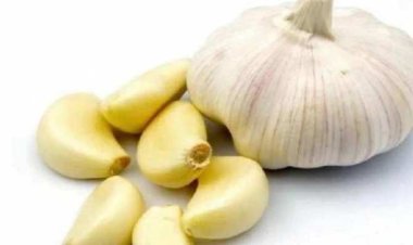 NEWS : सेहत दुरुस्त कर देंगी लहसुन की दो कलियां, जानें रोजाना खाली पेट इन्हें खाने के शानदार फायदे…