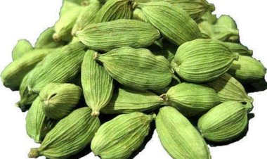 NEWS : इस छोटे से मसाले में है लाखों बिमारियों को छूमंतर करने का इलाज, डाइट में शामिल करने से सेहत में दिखेंगे चमत्कारी फायदे…