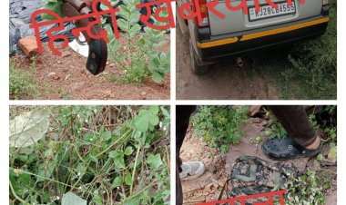 BIG BREAKING : सूचना के बाद एक्शन में रतनगढ़ पुलिस, घाटा क्षेत्र से कार सहित हथियार बरामद, जंगल क्षेत्र में इनकी चल रही सर्चिंग, फिर आई फायरिंग की आवाज, आखिर क्या चल रहा यहां, पढ़े खबर
