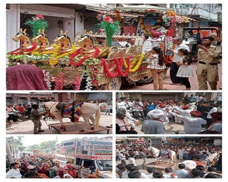 NEWS : श्री देवनारायण जयंती महोत्सव, रतनगढ़ में गुर्जर समाज ने निकाली भव्य शोभायात्रा, डीजे और ढोल की थाप पर झूमे समाजजन, जगह-जगह हुआ स्वागत, पढ़े संतोष गुर्जर की खबर