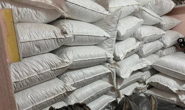 BIG NEWS : मंदसौर का गंगाखेड़ी गांव,जहा एक बाड़े में छिपा था मादक पदार्थ,CBN को जब लगी खबर,तो ऐसे बिछाया जाल,फिर बड़ी मात्रा में मिला ये माल,पढ़े ये खबर