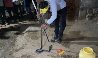 OMG ! घर में कोबरा देखते ही मचा हड़कंप, मौके पर लोगों की भीड़, फिर शुरू हुआ रेस्क्यू ऑपरेशन, और पकड़ लिया जहरीला सांप, ये घटना मनासा क्षेत्र की, पढ़े मनीष जोलान्या की खबर