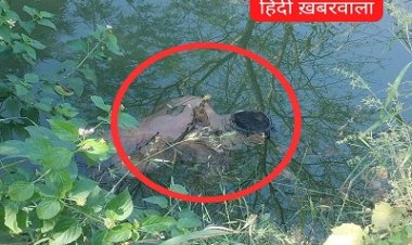 BREAKING NEWS - कुए में युवक की मिली लाश,फैली इलाके में सनसनी,था 2 दिनों से लापता, सुचना पर पहुंची 100 डायल,मर्ग कायम कर PM के लिए भेजा शव,घटना पिपलियामंडी थाना क्षेत्र की,पढ़े नरेंद्र राठौर की खबर