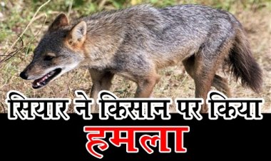 OMG ! खेत पर काम करता किसान, अचानक सियार ने किया हमला, और कर दिया घायल, गंभीर हालत में पहुंचाया अस्पताल, घटना नीमच जिले के इस गांव की, पढ़े मनीष जोलान्या की खबर