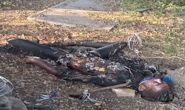 NEWS : बिजली के तार पकड़कर युवक की आत्महत्या, नारायणगढ़ पुलिस जुटी जांच में, पढ़े नरेंद्र राठौर की खबर