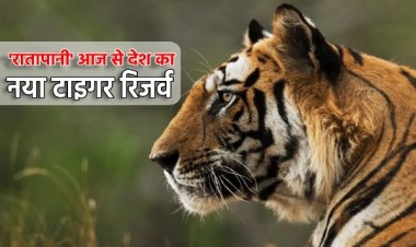 BIG NEWS : CM डॉक्टर मोहन यादव की एक और बड़ी सौगात, एमपी को मिल रहा एक नया टाइगर रिजर्व, मुख्यमंत्री इस दिन करेंगे लोकार्पण, पढ़े खबर