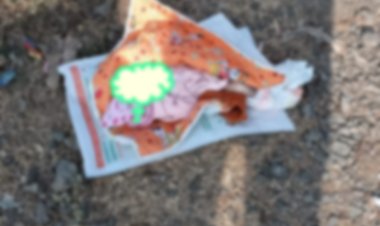 BIG BREAKING : नीमच में यहां मिला नवजात, तो इलाके में मचा हड़कंप, बघाना पुलिस मौके पर, अब जांच शुरू, पढ़े खबर 