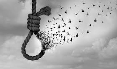 BIG NEWS : नीमच की इस कॉलोनी में सुनील ने किया सुसाइड, घर में किचन में उठाया ये खौफनाक कदम, जिला अस्पताल में हुआ पीएम, पुलिस जुटी जांच में, पढ़े खबर