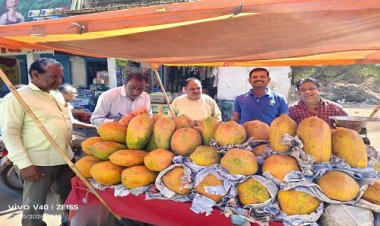 NEWS : शहर में निकला नगर पालिका का अमला, फव्वारा चौक से बस स्टैंड तक ताबड़तोड़ चालानी कार्यवाही, दो दर्जन से ज्यादा व्यवसायियों की जेब हुई ढीली, आप भी हो जाएं सावधान, पढ़े खबर