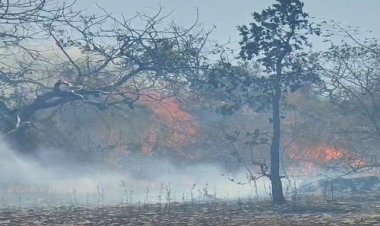 BIG NEWS : कंजार्डा चौकी क्षेत्र के जंगलों में भीषण आगजनी, दमकल की मदद से पाया काबू, पर यहां अब भी उठ रही लपटे, कई पेड़ जलकर खाक, पढ़े खबर