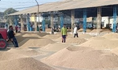 BIG NEWS : नीमच मंडी में त्यौहारों पर अवकाश घोषित, नहीं होगी उपज की नीलामी, जाने 19 से 31 मार्च के बीच की छुट्टियां, पढ़े खबर