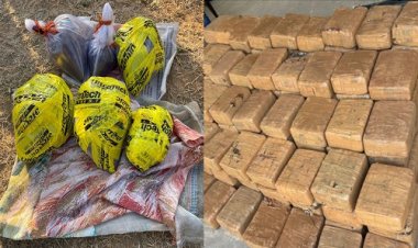 BIG NEWS : कोटा और मंदसौर जिले में CBN की ताबड़तोड़ कार्यवाही, बड़ी मात्रा में अवैध मादक पदार्थ जप्त, तो कई आरोपी गिरफ्तार, अधिकारियों ने ट्रक पर क्यों किया फायर, पढ़े खबर