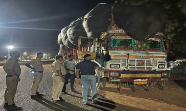 BIG NEWS : नीमच-सिंगोली रोड़ पर RTO विभाग की ताबड़तोड़ कार्यवाही, ओवरलोड वाहनों की जांच, फिर जप्ती की कार्यवाही भी, पढ़े खबर