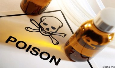 BIG NEWS : जब कंवरलाल ने उठाया ये खौफनाक कदम, तो परिजन लेकर पहुंचे जिला अस्पताल, प्राथमिक उपचार के बाद डॉक्टरों ने किया रैफर, लेकिन बीच रास्ते में युवक ने तोड़ा दम, नीमच सिटी पुलिस जुटी जांच में, पढ़े खबर