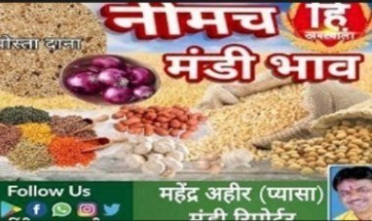 NEEMUCH MANDI : नीमच मंडी में सोयाबीन एवं किनोवा तेज, लहसुन एवं चना नरम, आज किस जींस के भाव में आई गिरावट, और किसके भाव रहें तेज, देखें महेन्द्र अहीर (प्यासा) की इस रिपोर्ट में