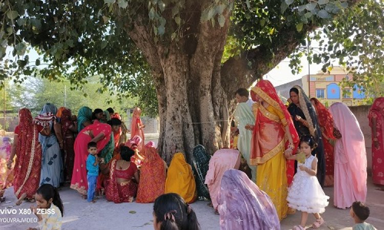 BIG NEWS : सुहागिन महिलाओं ने किया दशामाता का पूजन, घर में सुख-समृद्धि की कामना, पीपल पर बाधा कच्चा सूत, पढ़े खबर