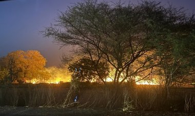 BIG NEWS : जिला कलेक्टर के निर्देश पर बड़ी कार्यवाही, खेत में लगाई आग, तो किसान के खिलाफ FIR दर्ज, फिर पटवारी पर भी गिरी गाज, किया निलंबित, ये मामला रेवली-देवली गांव का, पढ़े खबर