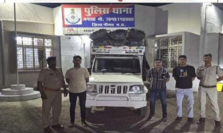 BIG NEWS : मनासा पुलिस की गश्त, और लावारिस खड़ी मिली पिकअप, तलाशी में अवैध नशा बरामद, मादक पदार्थ की बड़ी खेप जप्त, अब जांच शुरू, पढ़े खबर