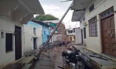 BIG NEWS : चीताखेड़ा में धूलभरी अंधड़ ने मचाया कोहराम, ट्रांसफार्मर, खंभे और विशालकाय पेड़ जमीदोज, मकानों के चद्दर शेड तक उड़े, तेज हवाओं ने किया तहस-नहस, पढ़े खबर