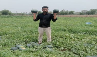 NEWS : दड़ौली और मांडा पंचायत के किसानों के बीच विधायक सखलेचा का कमाल, किसान हुआ मालामाल, अन्नदाताओं को ऐसे मिल रहा कृषि लाभ, पढ़े खबर