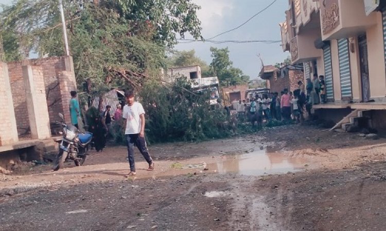 NEWS : मनासा में बदला मौसम का मिजाज, तेज हवा और गरज के साथ कई जगहों पर हुई बारिश, विशालकाय पेड़ गिरे, पढ़े खबर