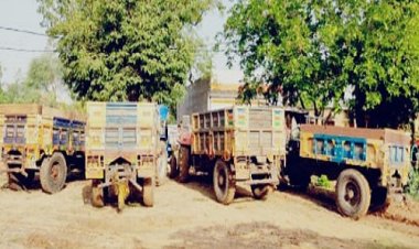 BIG NEWS : गांधी सागर डूब क्षेत्र में खनिज विभाग की बड़ी कार्यवाही, अवैध उत्खनन करते पांच ट्रैक्टर ट्राली जप्त, जांच शुरू, पढ़े खबर