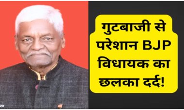 BIG NEWS : गुटबाजी से परेशान बीजेपी नेता का छलका दर्द, बोले- महाराज चुगलखोरों से रहें सतर्क, ज्योतिरादित्य सिंधिया को विधायक की नसीहत, क्या है पूरा मामला...! पढ़े खबर